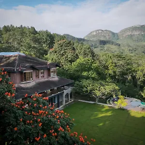 https://dendrobium-house.negombohotels.net